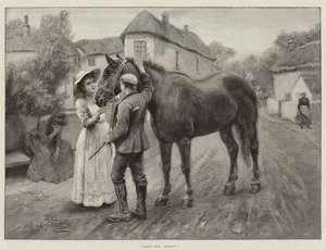Adiós, Dobbin!